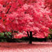 images/gallery/2.jpg